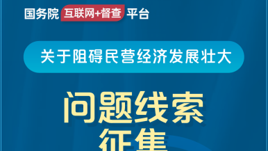 揉捏舔插视频国务院“互联网+督查”平台公开征集阻碍民营经济发展壮大问题线索